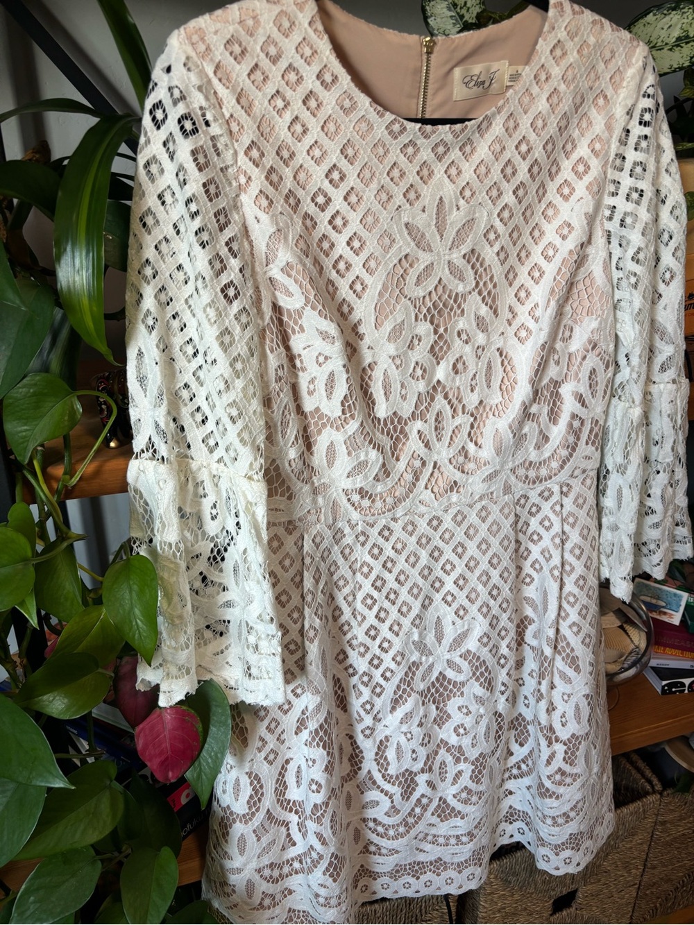 ELIZA J Bell Sleeve Lace Fit & Flare Dress In Ivory | Size 8 - Picture 7 of 8